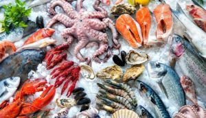 productos-marinos-congelacion-rapida